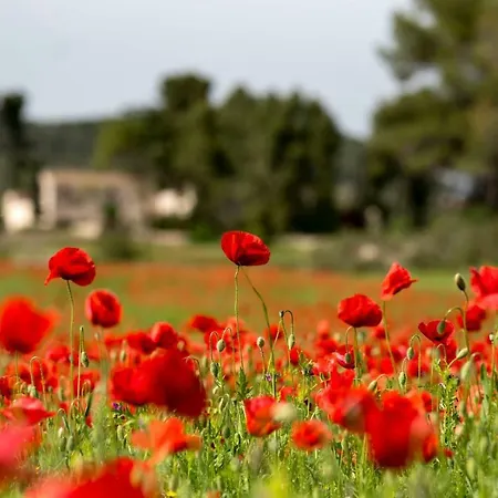 Casa Rural Banyeres * Bañeres